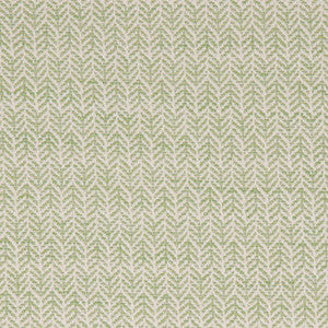Festoon Lime by Bella-Dura Designer Fabric
