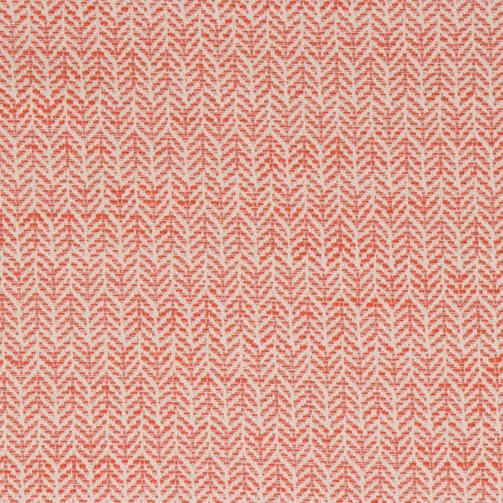 Festoon Persimmon by Bella-Dura Designer Fabric  100% HIGH UV POLYESTER USA 80,000 H: .75" V: 2" 56.25"  - Swanky Fabrics -