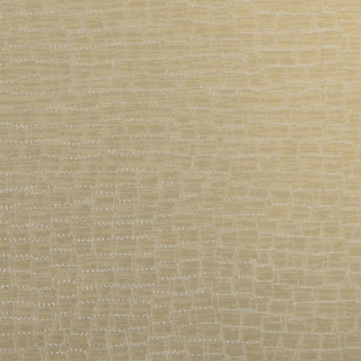 Fianna B Sand by Europatex Designer Fabric Fianna 100% Polyester 14.14" H, 13.21" V 55.00 inches - Swanky Fabrics -