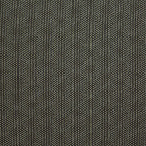 Fianna C Smoke by Europatex Designer Fabric