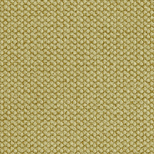 Fleece Celery by Crypton Designer Fabric