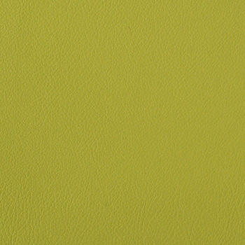 Foundation Spring by Nassimi Designer Fabric See sample 100% Vinyl  100000 Horizontal: Not Applicable and Vertical: Not Applicable 54"  - Swanky Fabrics -