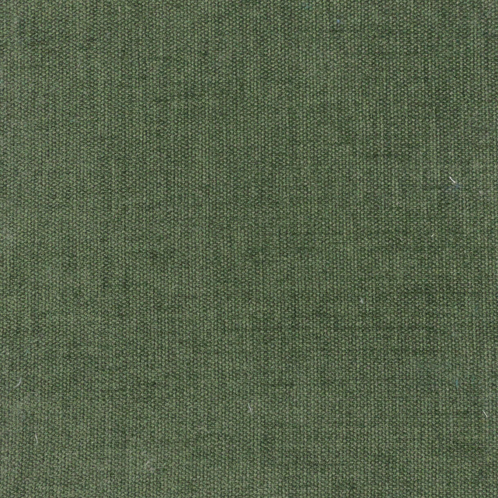 Gaithersburg 1 Evergreen by Stout Designer Fabric THE ART OF COLOR CAPRICORN 100%POL INDIA Horizontal: 0.000 and Vertical: 0.000 54 in - Swanky Fabrics -