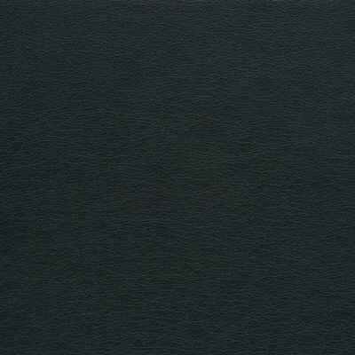Kravet Design Gato-21 by Kravet Design Fabric Kravet Design Fabric Kravet Design Gato-21Fabric POLYURETHANE - 100% Japan </p><p>Repeat: H: 0, V: 0 54 - Fabric Carolina -