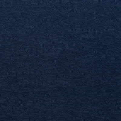 Gato-50 by Kravet Design Designer Fabric ULTRALEATHER PLUS IV POLYURETHANE - 100% Japan HEAVY Horizontal: 0 and Vertical: 0 54 - Swanky Fabrics -