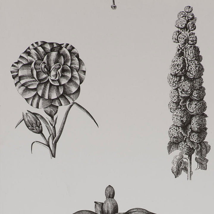 Guayana Onyx by Gaston Y Daniela Designer Wallcovering PAPER - 100% Spain Horizontal: and Vertical: 20.8 - Swanky Fabrics -