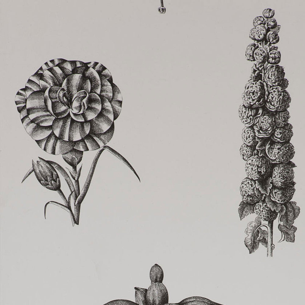 Guayana Onyx by Gaston Y Daniela Designer Wallcovering PAPER - 100% Spain Horizontal: and Vertical: 20.8 - Swanky Fabrics -