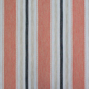 Albuquerque Coral by Gaston Y Daniela Designer Fabric