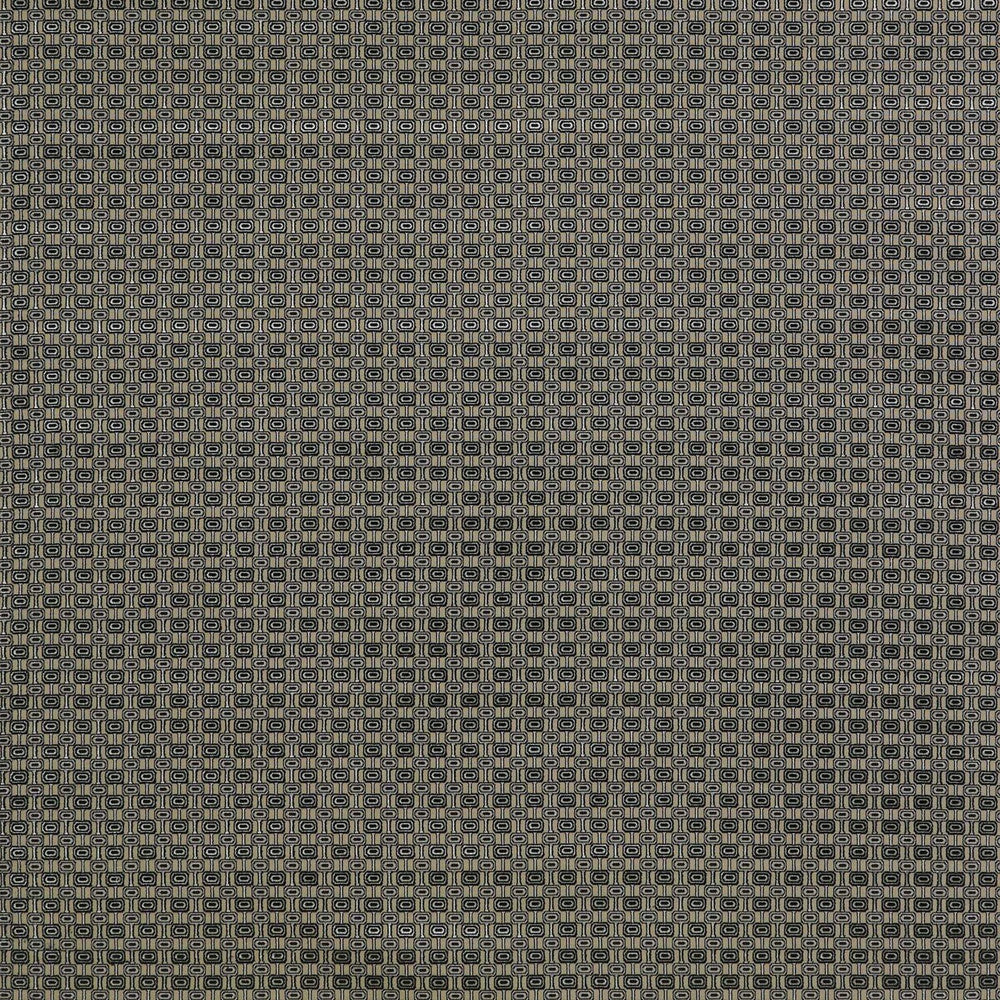 Ines Gris/Onyx by Gaston Y Daniela Designer Fabric LORENZO CASTILLO II VISCOSE - 59%;POLYESTER - 23%;COTTON - 18% Belgium MEDIUM Horizontal: 1.69 and Vertical: 1.3 55 - Swanky Fabrics -
