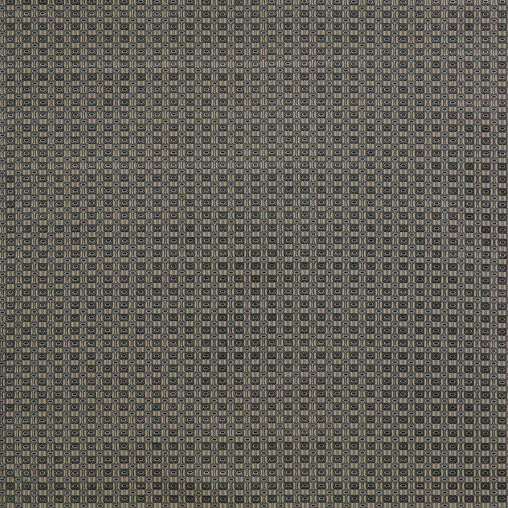 Ines Gris/Onyx by Gaston Y Daniela Designer Fabric LORENZO CASTILLO II VISCOSE - 59%;POLYESTER - 23%;COTTON - 18% Belgium MEDIUM Horizontal: 1.69 and Vertical: 1.3 55 - Swanky Fabrics -