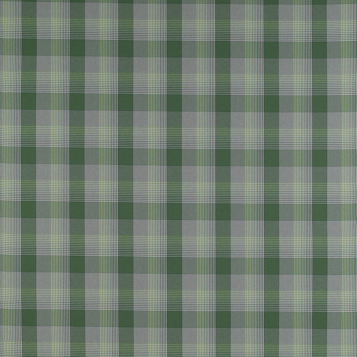Preciados Verde by Gaston Y Daniela Designer Fabric MADRID COTTON - 100% Portugal HEAVY Horizontal: 4 and Vertical: 4 55 - Swanky Fabrics -