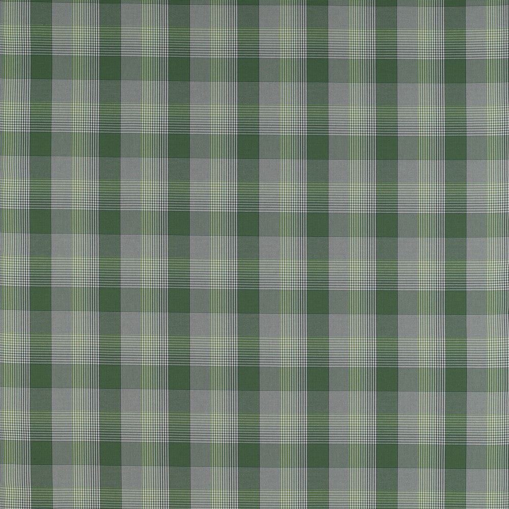 Preciados Verde by Gaston Y Daniela Designer Fabric MADRID COTTON - 100% Portugal HEAVY Horizontal: 4 and Vertical: 4 55 - Swanky Fabrics -