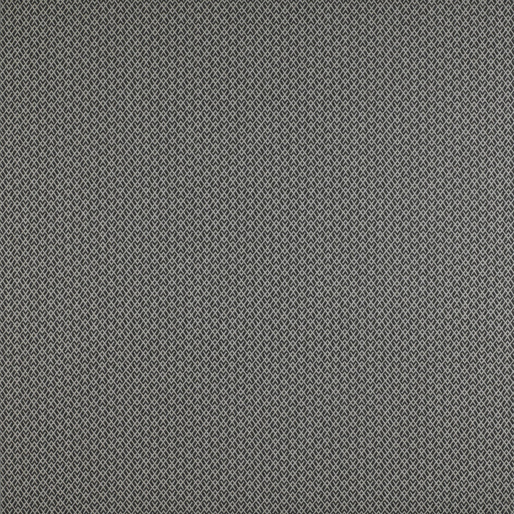 Chueca Onyx by Gaston Y Daniela Designer Fabric MADRID COTTON - 40%;VISCOSE - 30%;ACRYLIC - 10%;LINEN - 10%;POLYESTER - 10% Italy HEAVY Horizontal: 2 and Vertical: 1.2 55 - Swanky Fabrics -
