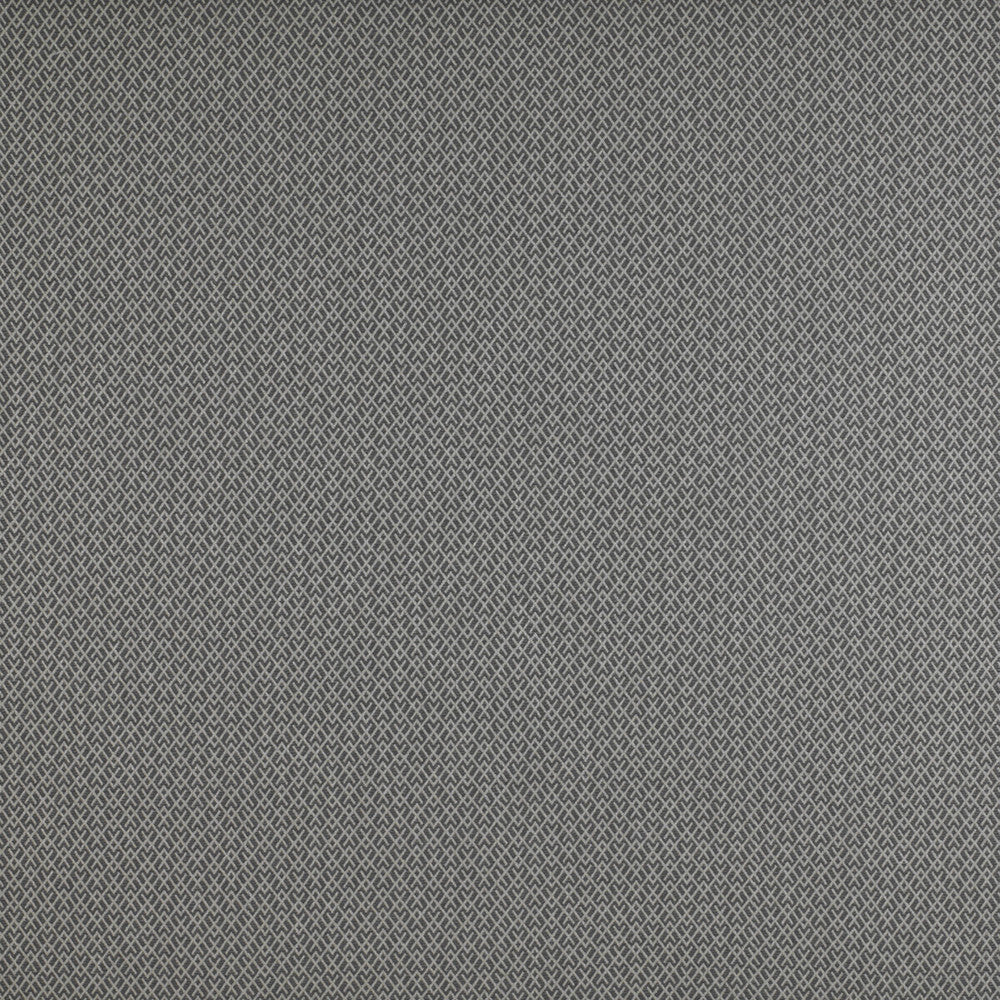 Chueca Humo by Gaston Y Daniela Fabric Gaston Y Daniela Fabric Chueca HumoFabric MADRID COTTON - 40%;VISCOSE - 30%;ACRYLIC - 10%;LINEN - 10%;POLYESTER - 10% Italy </p><p>Repeat: H: 2, V: 1.2 55 - Fabric Carolina -