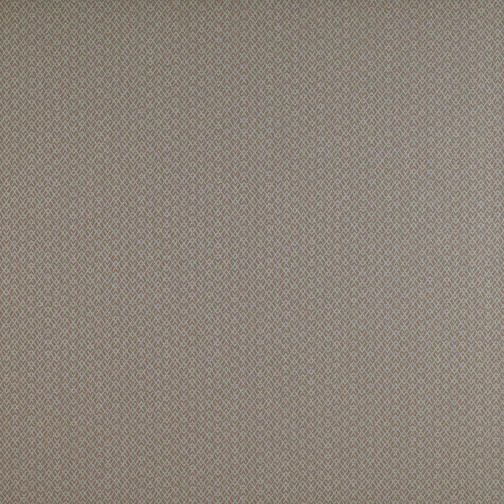 Chueca Beige by Gaston Y Daniela Designer Fabric MADRID COTTON - 40%;VISCOSE - 30%;ACRYLIC - 10%;LINEN - 10%;POLYESTER - 10% Italy HEAVY Horizontal: 2 and Vertical: 1.2 55 - Swanky Fabrics -