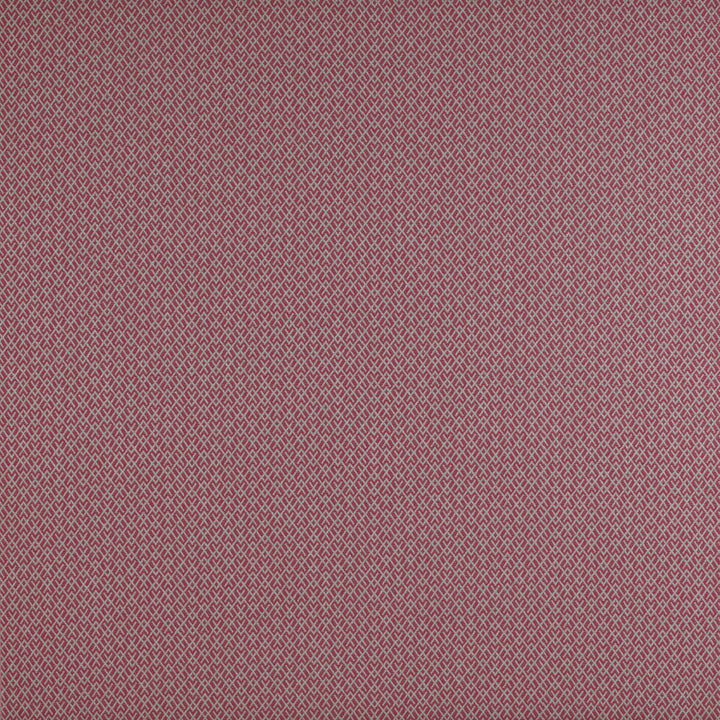 Chueca Frambuesa by Gaston Y Daniela Designer Fabric MADRID COTTON - 40%;VISCOSE - 30%;ACRYLIC - 10%;LINEN - 10%;POLYESTER - 10% Italy HEAVY Horizontal: 2 and Vertical: 1.2 55 - Swanky Fabrics -