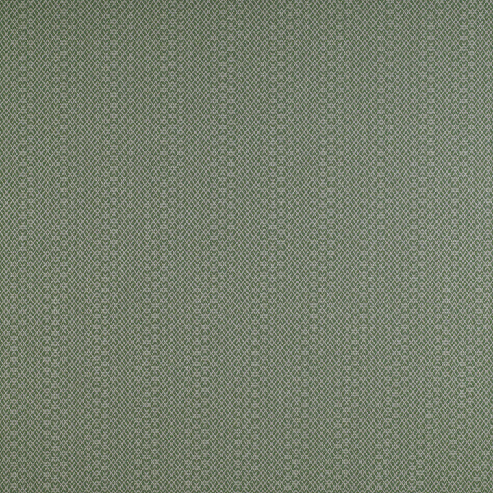 Chueca Verde by Gaston Y Daniela Designer Fabric MADRID COTTON - 40%;VISCOSE - 30%;ACRYLIC - 10%;LINEN - 10%;POLYESTER - 10% Italy HEAVY Horizontal: 2 and Vertical: 1.2 55 - Swanky Fabrics -