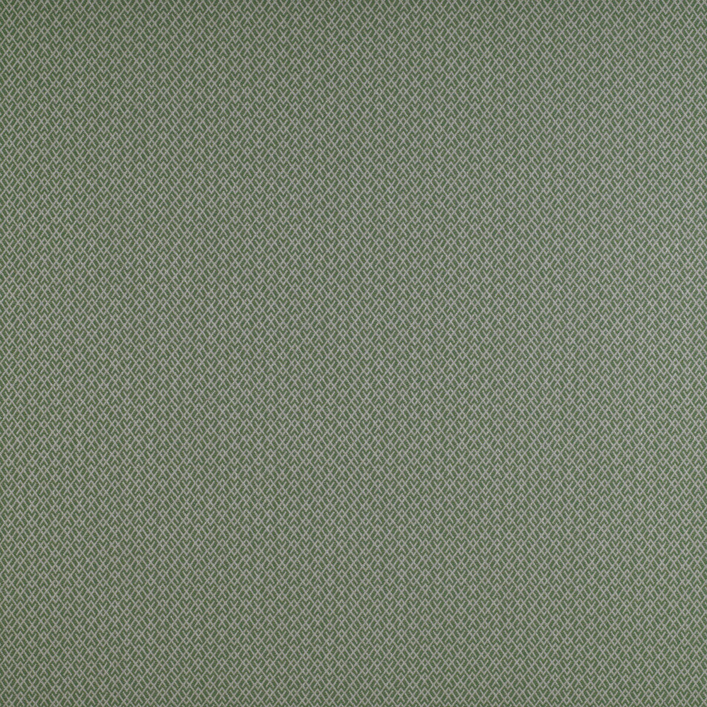 Chueca Verde by Gaston Y Daniela Fabric Gaston Y Daniela Fabric Chueca VerdeFabric MADRID COTTON - 40%;VISCOSE - 30%;ACRYLIC - 10%;LINEN - 10%;POLYESTER - 10% Italy </p><p>Repeat: H: 2, V: 1.2 55 - Fabric Carolina -