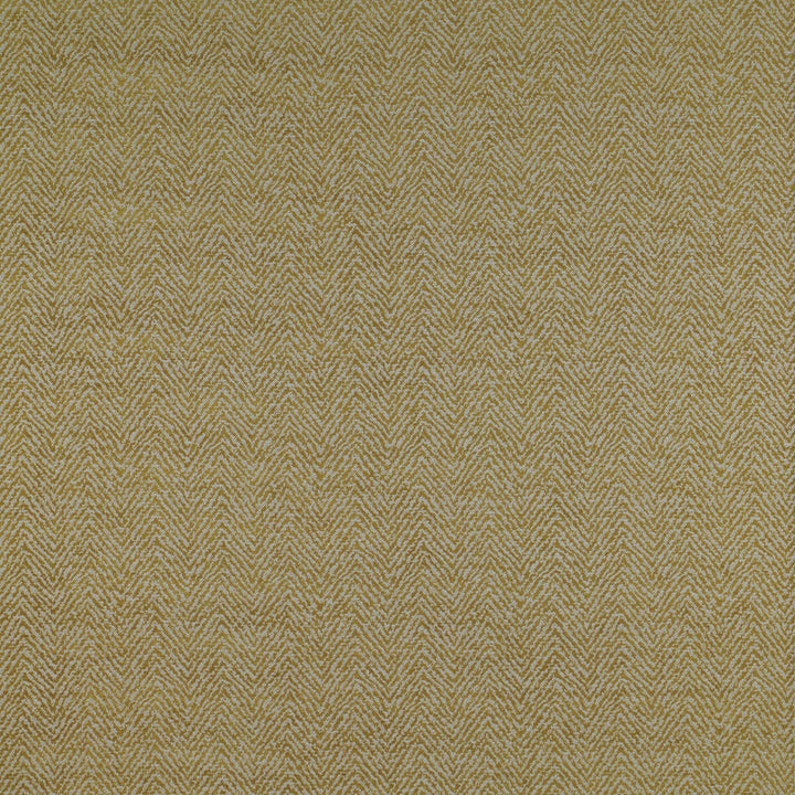 Santa Ana Lima by Gaston Y Daniela Designer Fabric MADRID POLYESTER - 43%;VISCOSE - 30%;COTTON - 27% Turkey HEAVY Horizontal: 13.8 and Vertical: 6.2 55 - Swanky Fabrics -