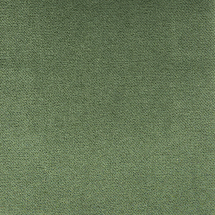 Venecia Verde by Gaston Y Daniela Designer Fabric BASICS COTTON - 86%;MODACRYLIC - 14% Czech Republic HEAVY Horizontal: 0 and Vertical: 0 55 - Swanky Fabrics -