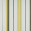 Burano Onyx/Amarillo by Gaston Y Daniela Designer Fabric