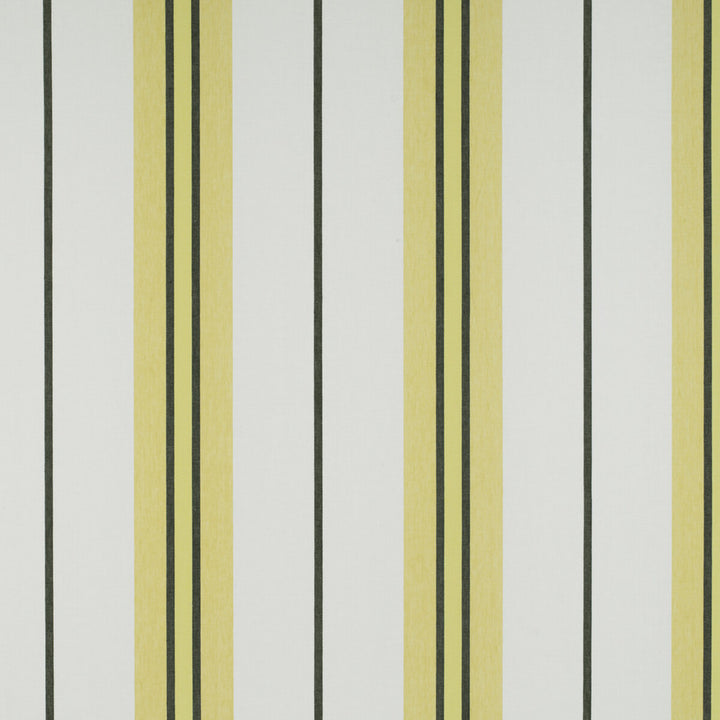 Burano Onyx/Amarillo by Gaston Y Daniela Designer Fabric TIERRAS LINEN - 94%;POLYESTER - 6% Turkey Horizontal: 19.48 and Vertical: 0 118 - Swanky Fabrics -