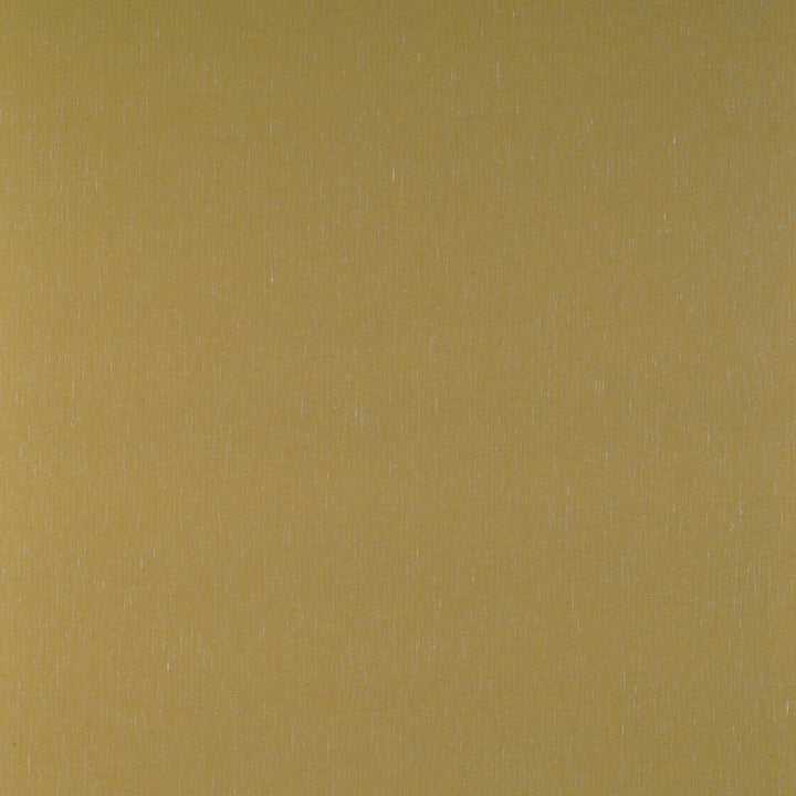 Kf Gyd:: by Gaston Y Daniela Designer Fabric TIERRAS COTTON - 45%;VISCOSE - 27%;ACRYLIC - 14%;LINEN - 7%;POLYAMIDE - 7% Italy HEAVY Horizontal: 0.01 and Vertical: 0.01 55 - Swanky Fabrics -