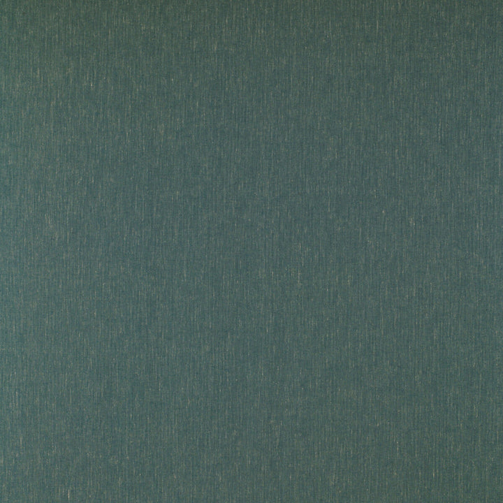 Kf Gyd:: by Gaston Y Daniela Designer Fabric TIERRAS COTTON - 45%;VISCOSE - 27%;ACRYLIC - 14%;LINEN - 7%;POLYAMIDE - 7% Italy HEAVY Horizontal: 0.01 and Vertical: 0.01 55 - Swanky Fabrics -