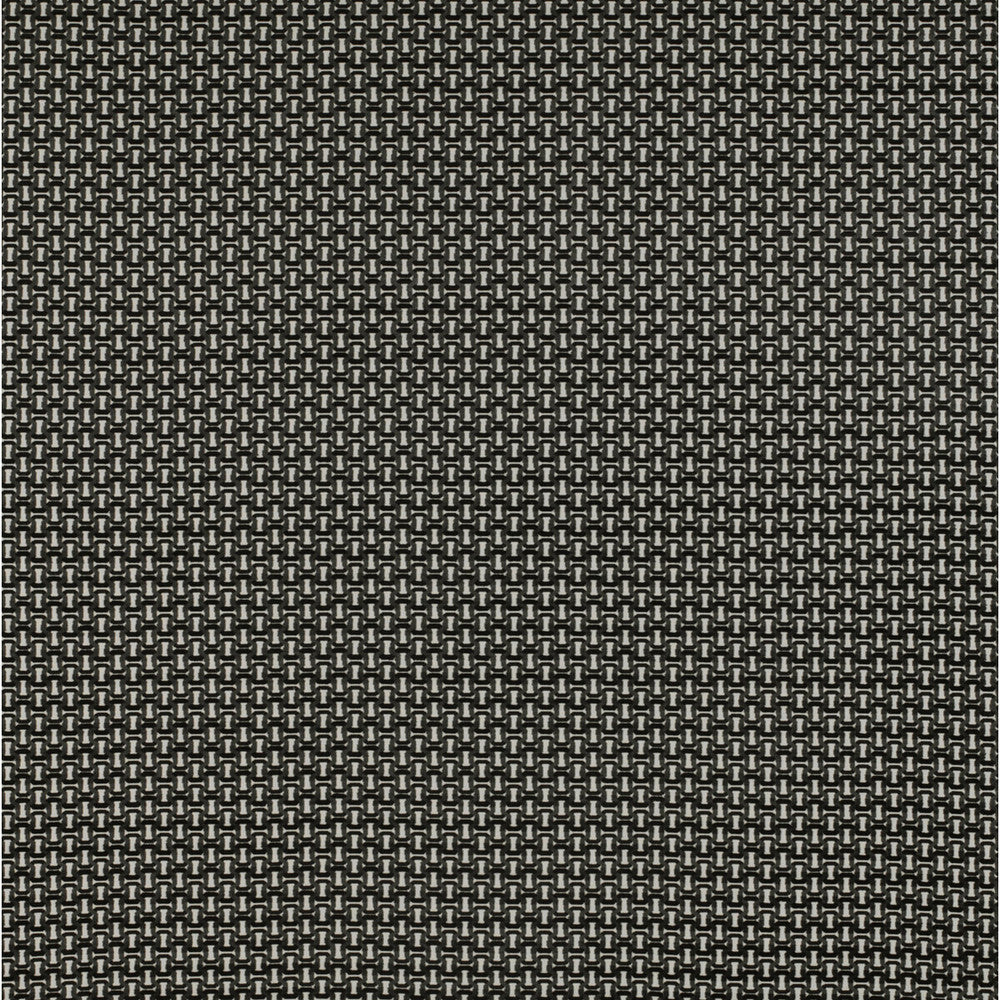 Viareggio Blanco/Onyx by Gaston Y Daniela Designer Fabric TIERRAS VISCOSE - 59.1%;POLYESTER - 23.3%;COTTON - 17.6% Belgium HEAVY Horizontal: 1.73 and Vertical: 1.3 55 - Swanky Fabrics -