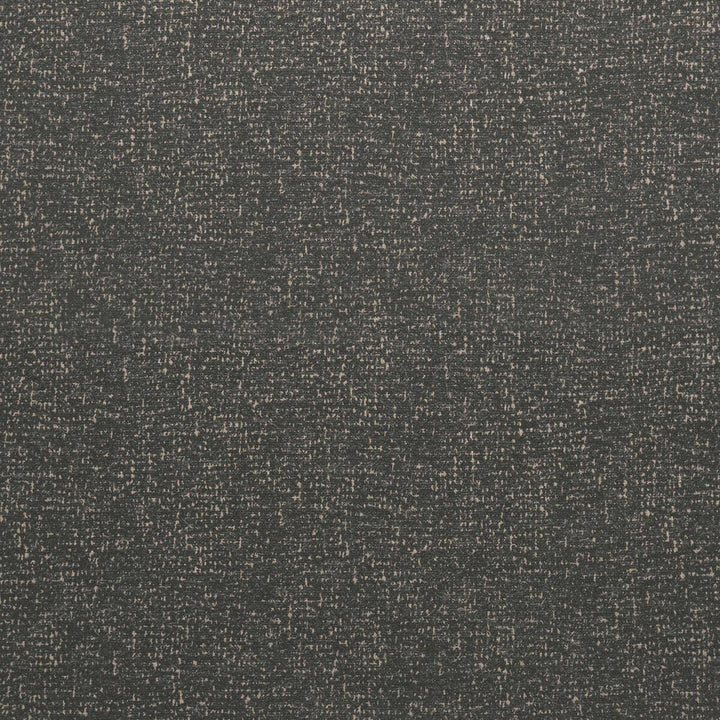 Lualaba Gris Claro by Gaston Y Daniela Designer Fabric GASTON AFRICALIA WOOL - 40%;VISCOSE - 30%;COTTON - 15%;ACRYLIC - 5%;LINEN - 5%;POLYESTER - 5% Italy HEAVY Horizontal: 0 and Vertical: 0 55 - Swanky Fabrics -