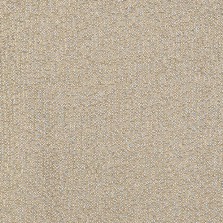 In Crudo by Gaston Y Daniela Designer Fabric GASTON LIBRERIA POLYOLEFIN FR - 100% Spain HEAVY Horizontal: and Vertical: 55 - Swanky Fabrics -