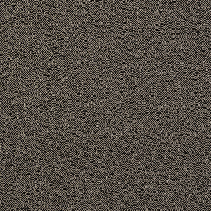 In Lino/Negro by Gaston Y Daniela Designer Fabric GASTON LIBRERIA POLYOLEFIN FR - 100% Spain HEAVY Horizontal: 0 and Vertical: 0 55 - Swanky Fabrics -