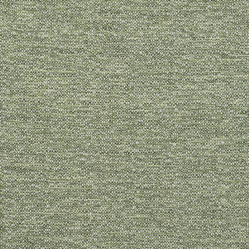 In Verde by Gaston Y Daniela Designer Fabric GASTON LIBRERIA POLYOLEFIN FR - 100% Spain HEAVY Horizontal: 0 and Vertical: 0 55 - Swanky Fabrics -