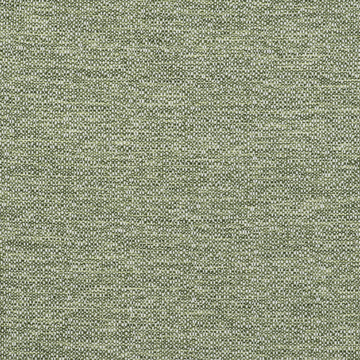 In Verde by Gaston Y Daniela Designer Fabric GASTON LIBRERIA POLYOLEFIN FR - 100% Spain HEAVY Horizontal: 0 and Vertical: 0 55 - Swanky Fabrics -