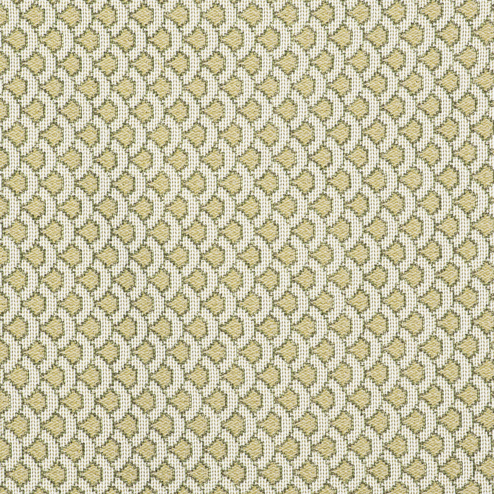 Ondas Verde by Gaston Y Daniela Designer Fabric GASTON LIBRERIA POLYOLEFIN FR - 69%;POLYESTER FR - 31% Italy HEAVY Horizontal: 0.98 and Vertical: 0.79 55 - Swanky Fabrics -