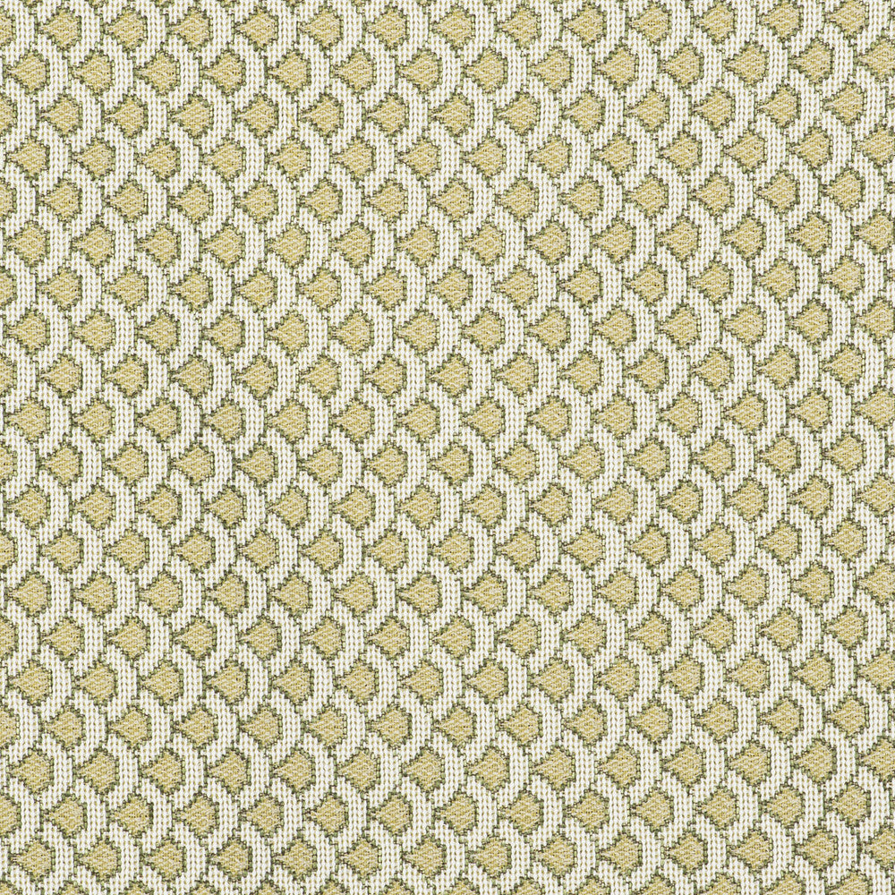 Ondas Verde by Gaston Y Daniela Designer Fabric GASTON LIBRERIA POLYOLEFIN FR - 69%;POLYESTER FR - 31% Italy HEAVY Horizontal: 0.98 and Vertical: 0.79 55 - Swanky Fabrics -