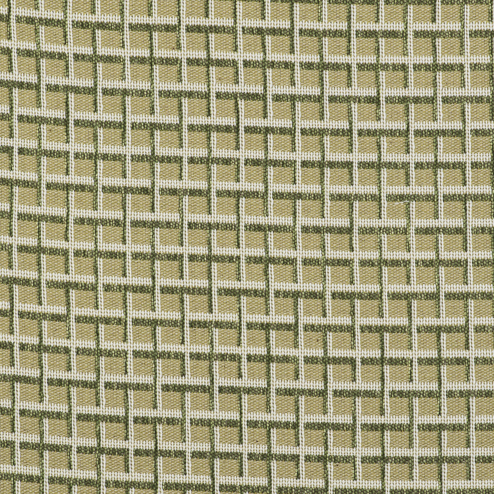 Rejas Verde by Gaston Y Daniela Designer Fabric GASTON LIBRERIA POLYOLEFIN FR - 69%;POLYESTER FR - 31% Italy HEAVY Horizontal: 2.44 and Vertical: 1.42 55 - Swanky Fabrics -