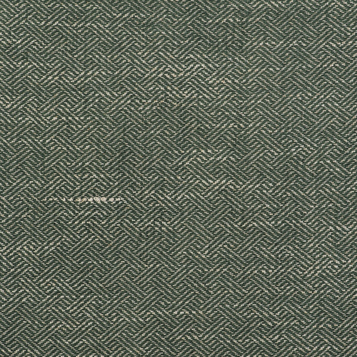 Enea Verde by Gaston Y Daniela Designer Fabric GASTON LIBRERIA VISCOSE - 52%;COTTON - 23%;LINEN - 14%;POLYESTER - 11% Belgium HEAVY Horizontal: 0.91 and Vertical: 1.1 54 - Swanky Fabrics -