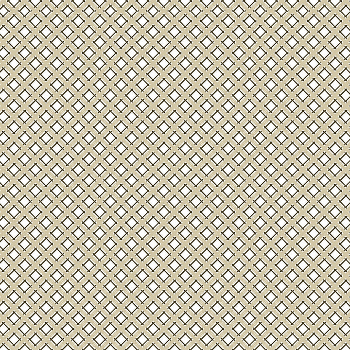 Trellis Beige/Negro by Gaston Y Daniela Fabric Gaston Y Daniela Fabric Trellis Beige/NegroFabric GASTON LIBRERIA COTTON - 100% Spain </p><p>Repeat: H: 3.84, V: 3.81 57.5 - Fabric Carolina -