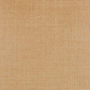 Peru Camel by Gaston Y Daniela Designer Fabric
