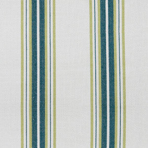Nueva York Verde by Gaston Y Daniela Designer Fabric