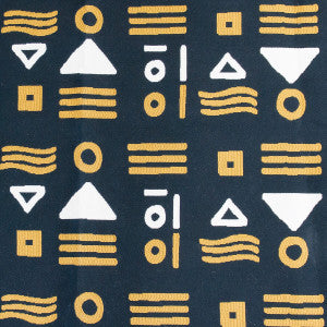 Pinzon Black by Gaston Y Daniela Designer Fabric