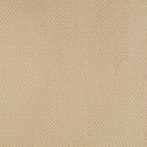 Lima Beige by Gaston Y Daniela Designer Fabric