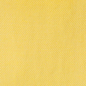 Lima Amarillo by Gaston Y Daniela Designer Fabric