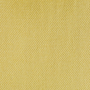Lima Trigo by Gaston Y Daniela Designer Fabric