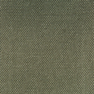 Lima Kaki by Gaston Y Daniela Designer Fabric