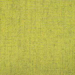 Kuu Verde by Gaston Y Daniela Designer Fabric