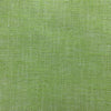Hisa Verde Manzana by Gaston Y Daniela Designer Fabric