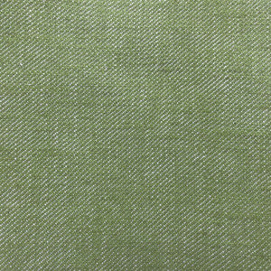Hisa Verde Agua by Gaston Y Daniela Designer Fabric