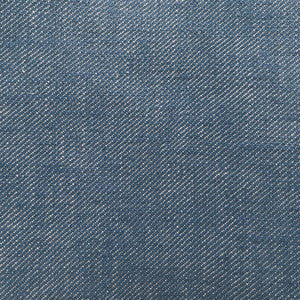 Hisa Azul by Gaston Y Daniela Designer Fabric